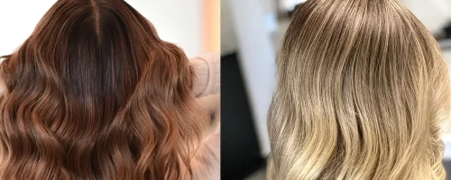 Hair-Highlights-vs-Hair-Lowlight